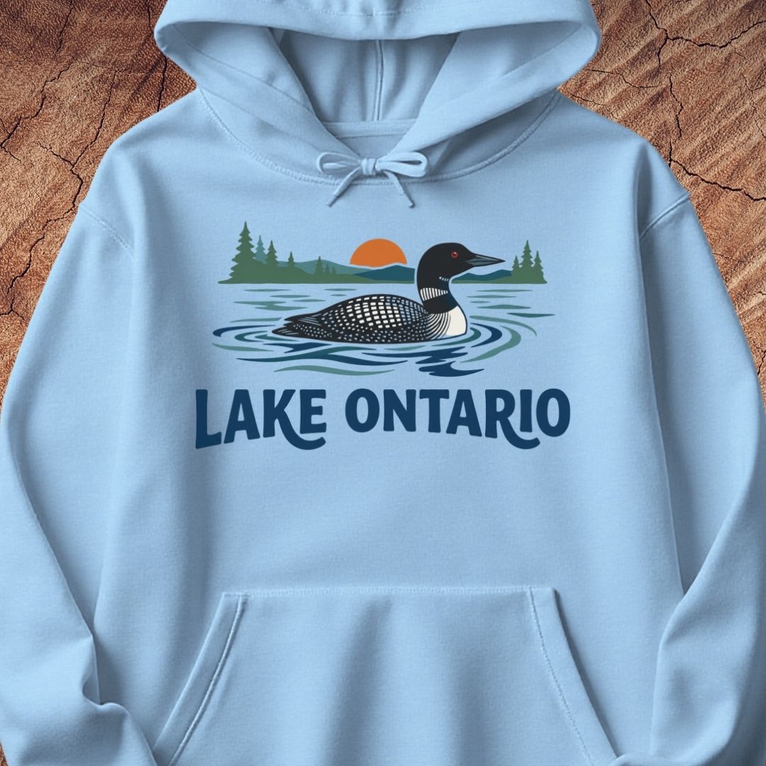 A light blue pullover hoodie laid flat on a textured brown wood background, featuring a printed graphic of a loon in Lake Ontario with the words 'LAKE ONTARIO' in dark blue text.