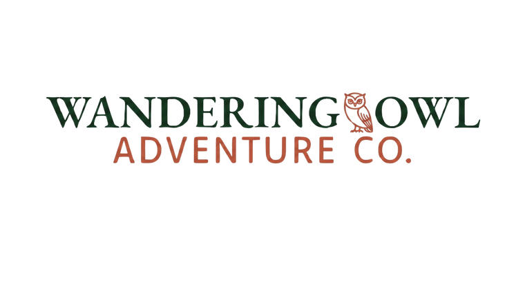 Logo of Wandering Owl Adventure Co. with an owl illustration on a white background