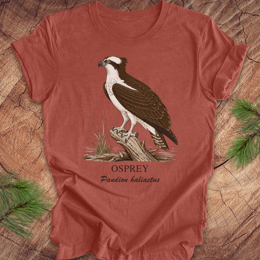 Rust colored t-shirt with osprey illustration and text on a wooden surface