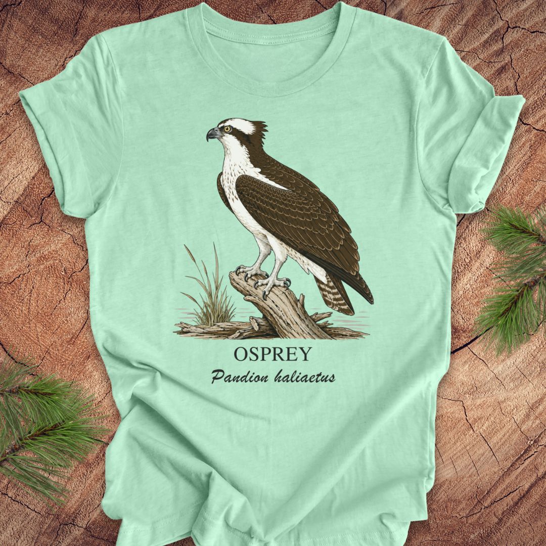 Mint green t-shirt with osprey illustration and text on a wooden surface