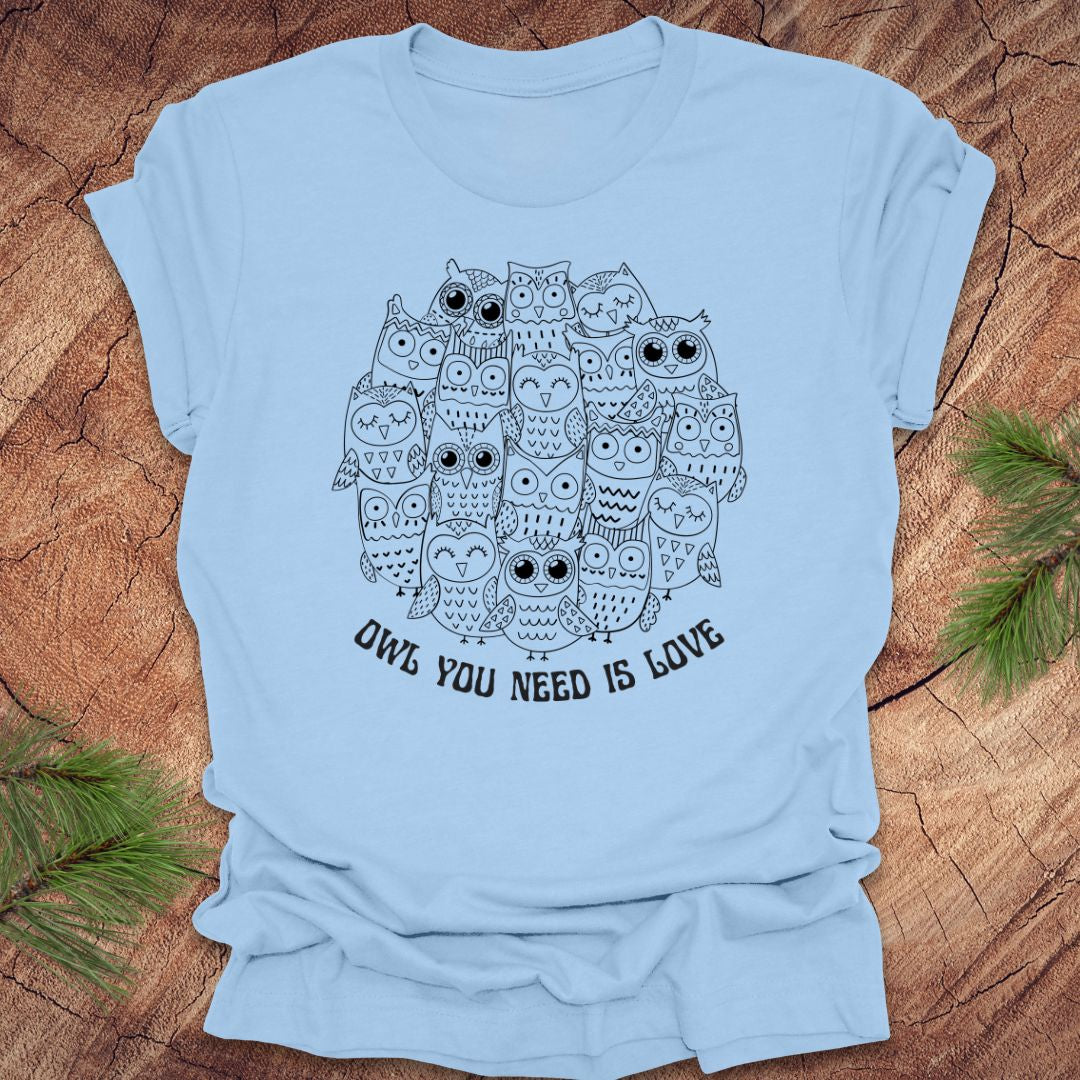 Baby blue t-shirt with owl design and text 'OWL YOU NEED IS LOVE' on a wooden surface.
