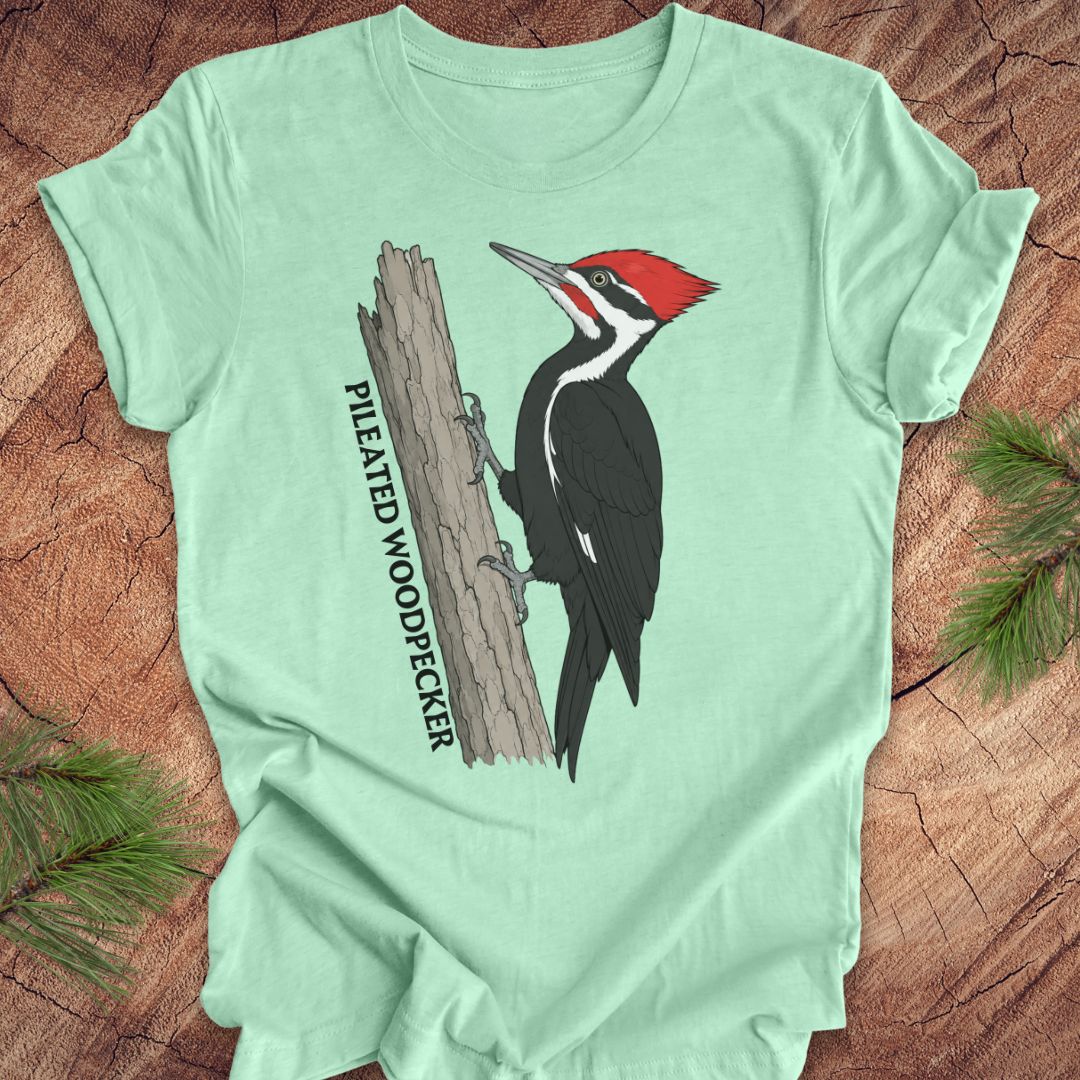 A mint green short-sleeve t-shirt laid flat on a rustic wood surface, featuring a graphic of a pileated woodpecker on a tree trunk with the text 'PILEATED WOODPECKER'.