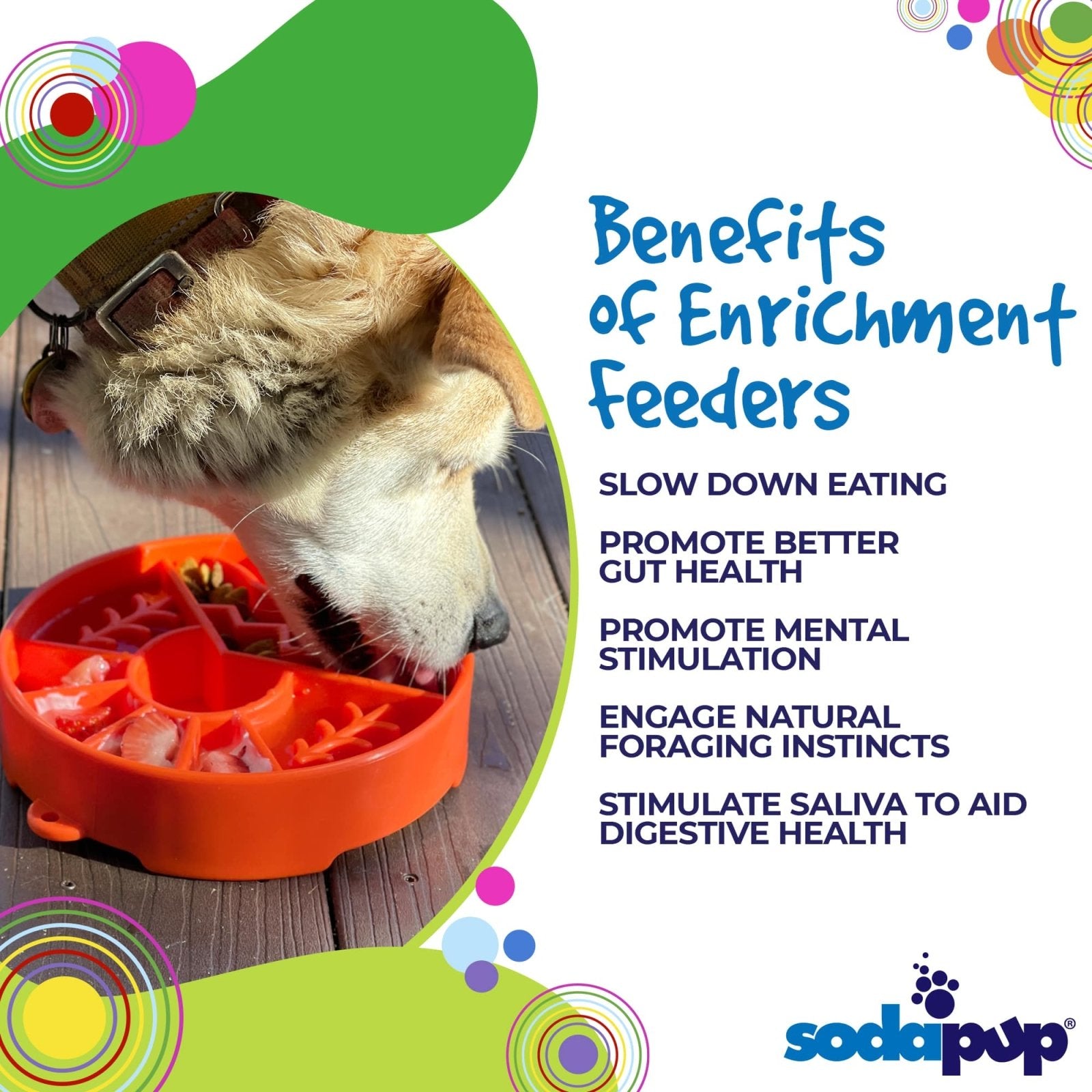 Slow Feeder Enrichment Dog Bowl - Wandering Owl Adventure Gear