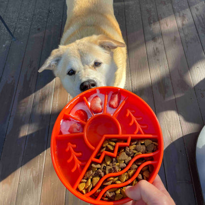 Slow Feeder Enrichment Dog Bowl - Wandering Owl Adventure Gear