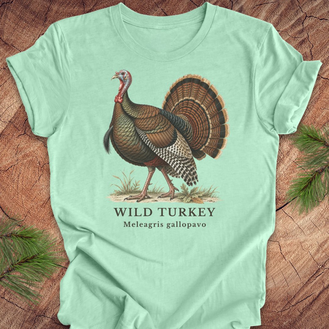 A mint green short-sleeve t-shirt with a vintage-style illustration of a wild turkey and the text 'WILD TURKEY' and 'Meleagris gallopavo' printed on the front, laid flat on a rustic wood background with pine branches in the corners.