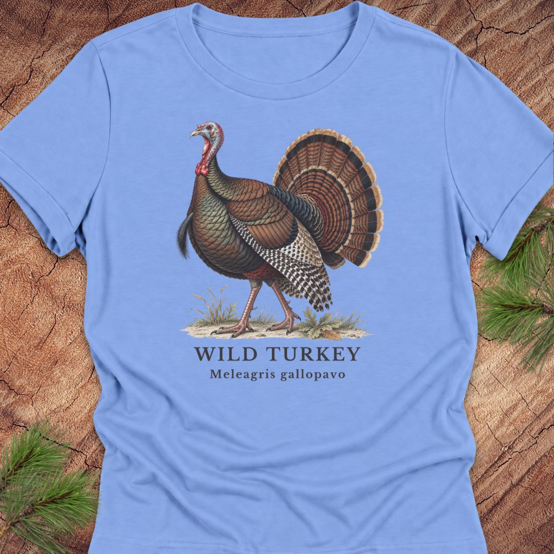 Carolina Blue women's relaxed t-shirt with a vintage naturalist-style wild turkey illustration labeled 'Wild Turkey, Meleagris gallopavo', laid flat on a rustic wood background with pine branches.